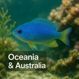 Oceania Australia